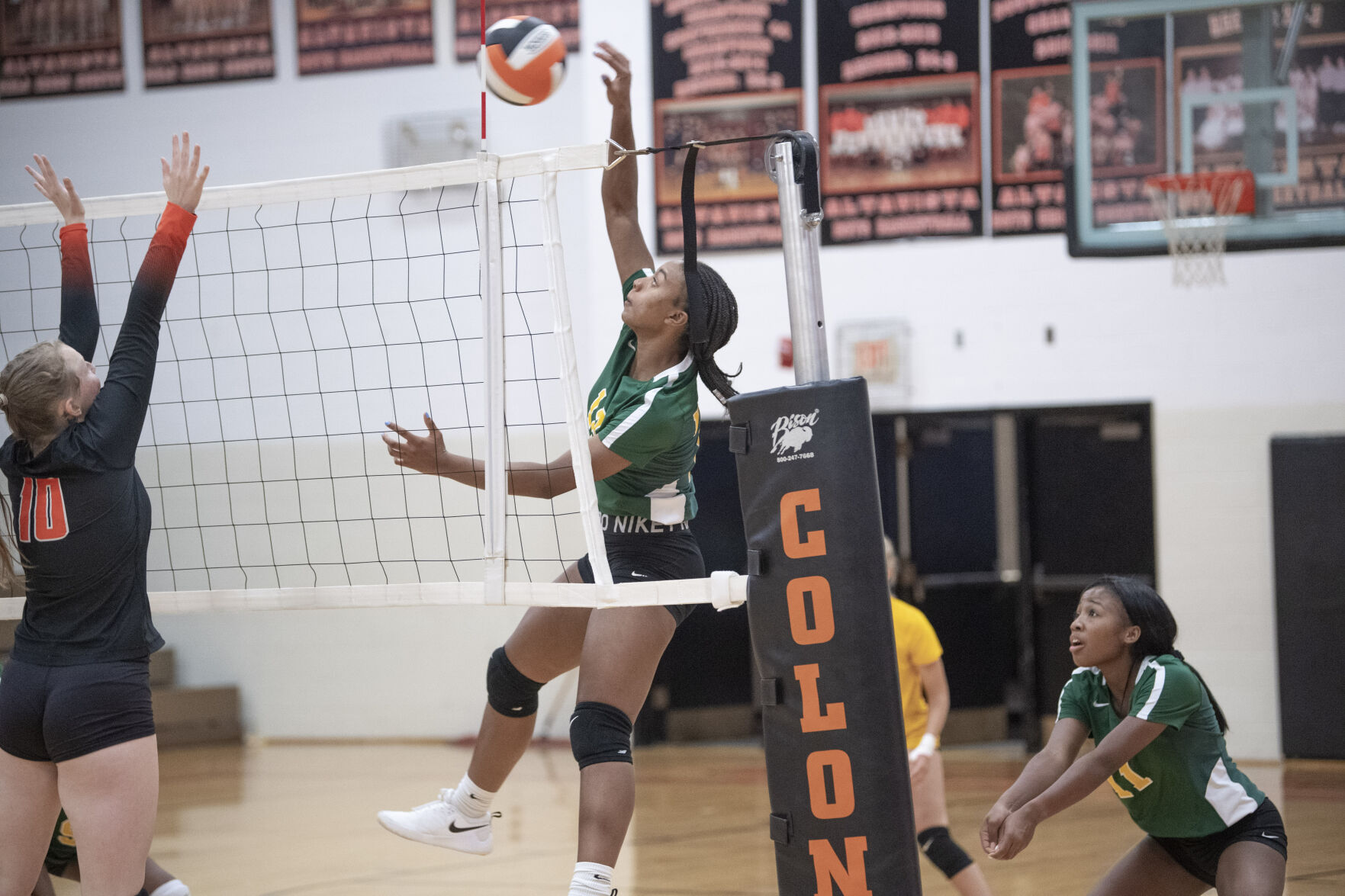 Lady Govs. 1.JPG
